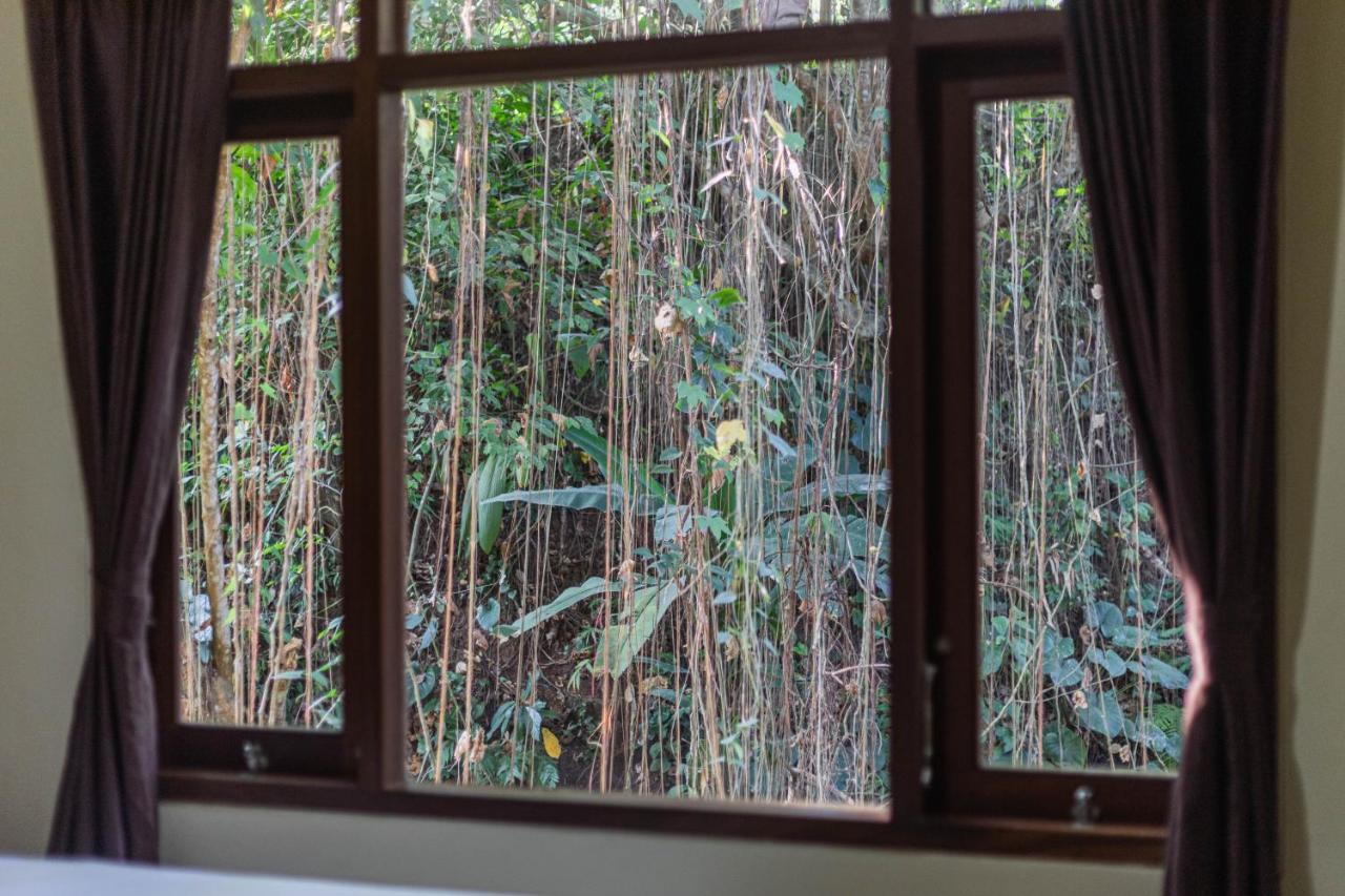 Alam Pangkung Ubud Ngoại thất bức ảnh